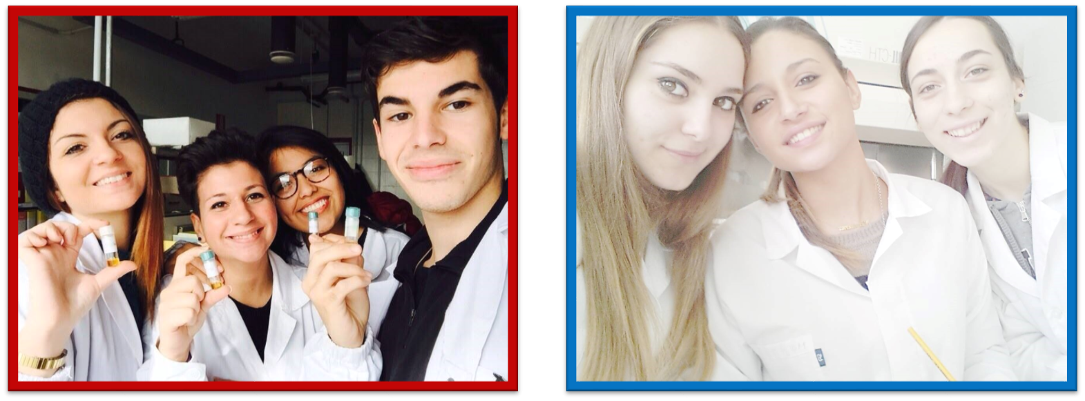 Immagine2